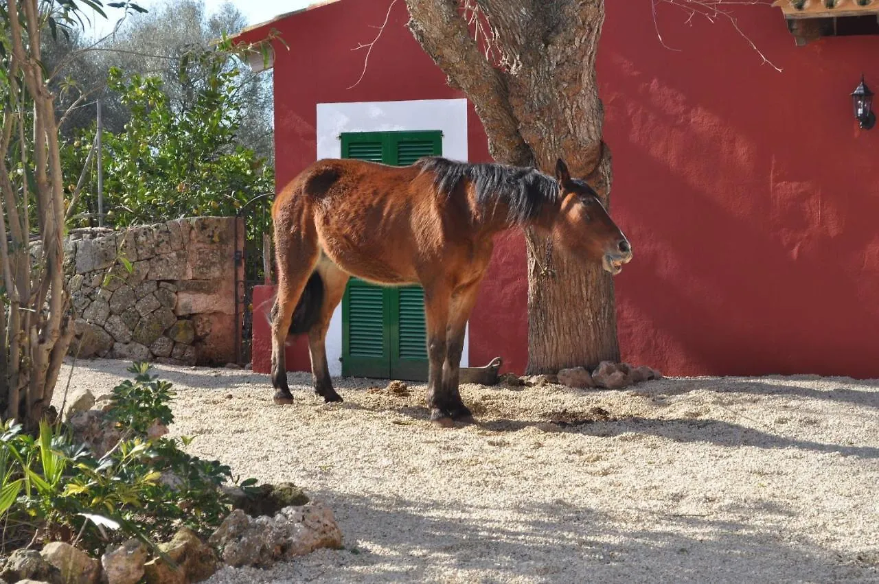 Villa Son Amora Algaida