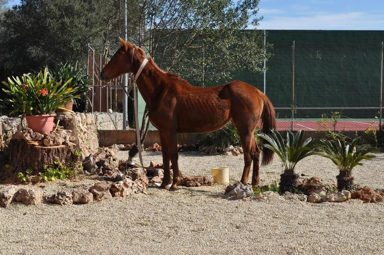 Villa Son Amora Algaida  Spain
